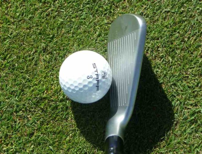 TaylorMade P790 mit Golfball